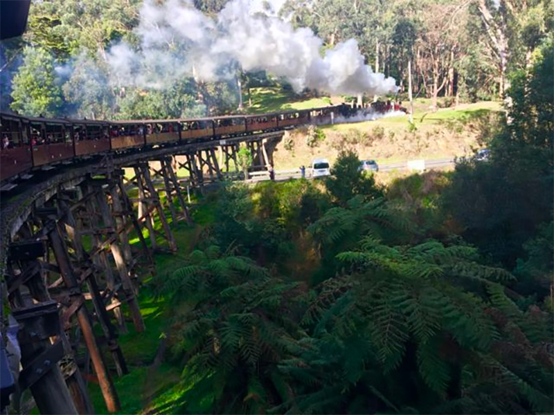 Puffing Billy 